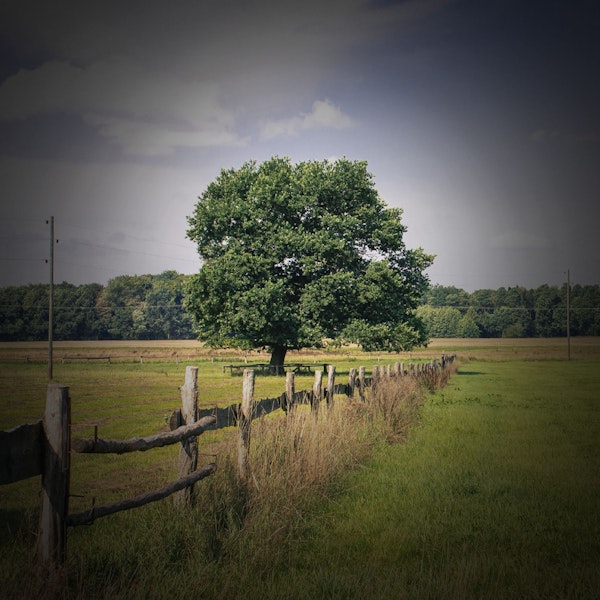 depiction of how glaucoma affects vision