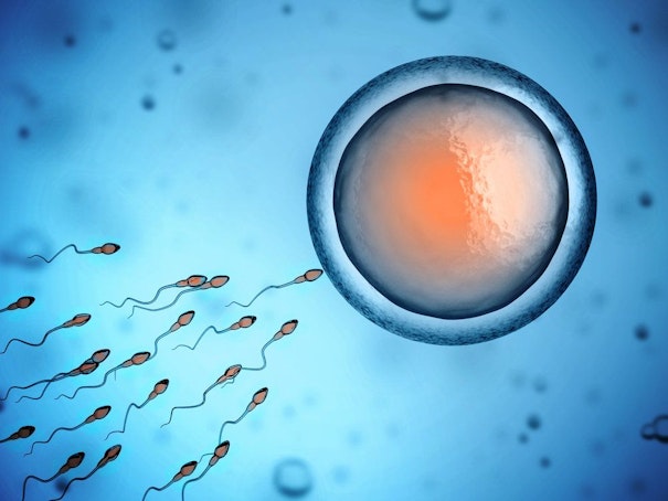 Image of sperm reaching an egg