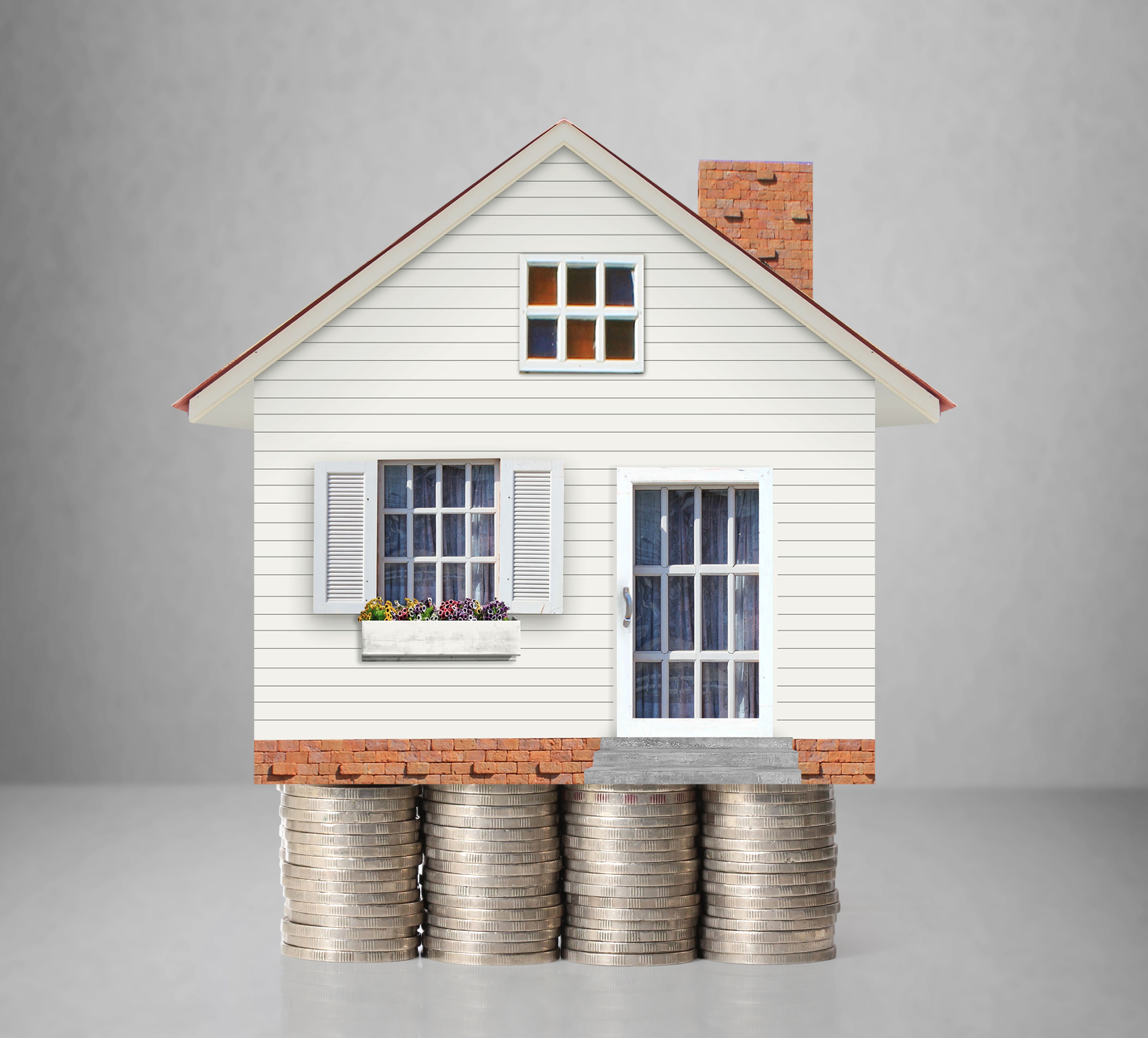 Money and model of a home