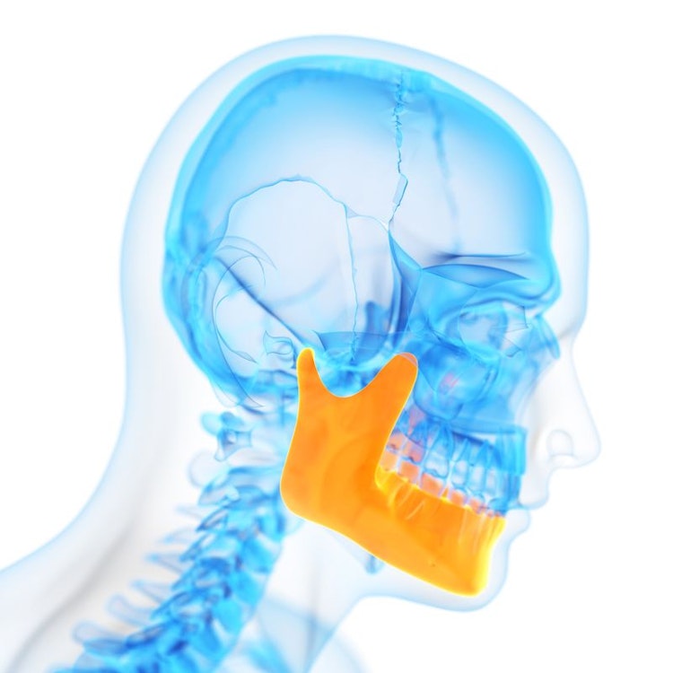 Illustration of the TMJ