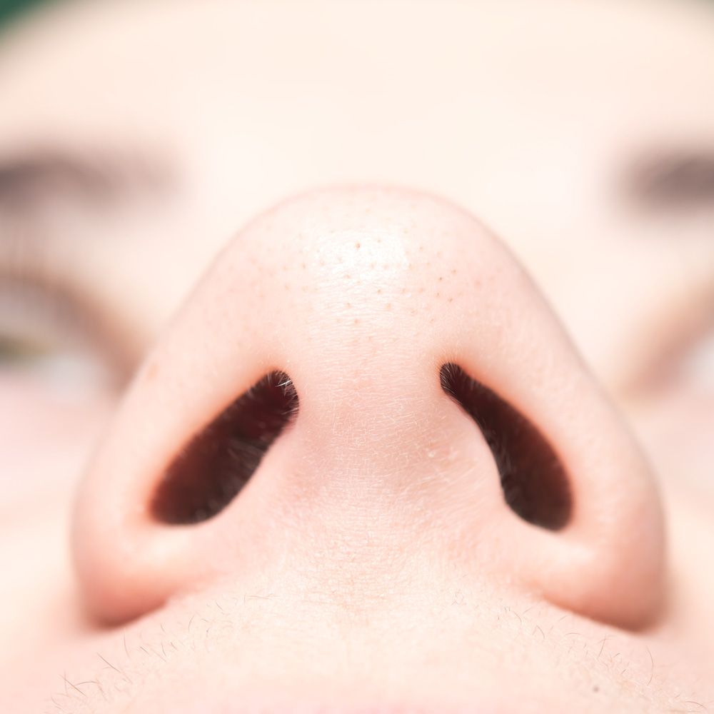 Nostrils