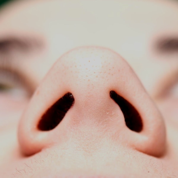 Nostrils