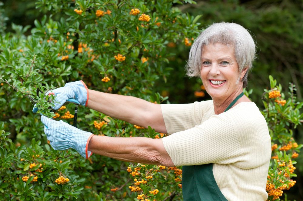 woman gardening