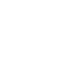 American Board of Plastic Surgery logo