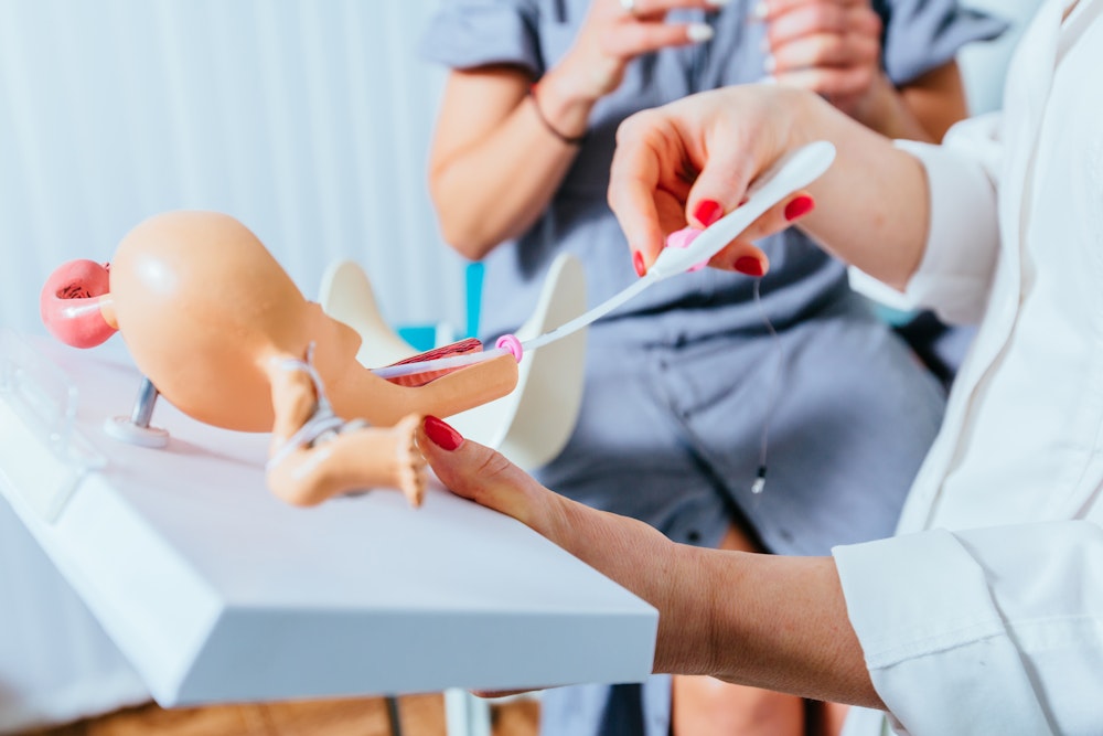 Doctor demonstrating IUI on 3D model