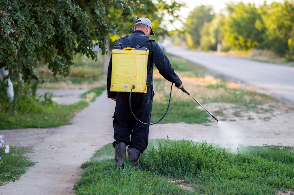 Man spraying herbicide