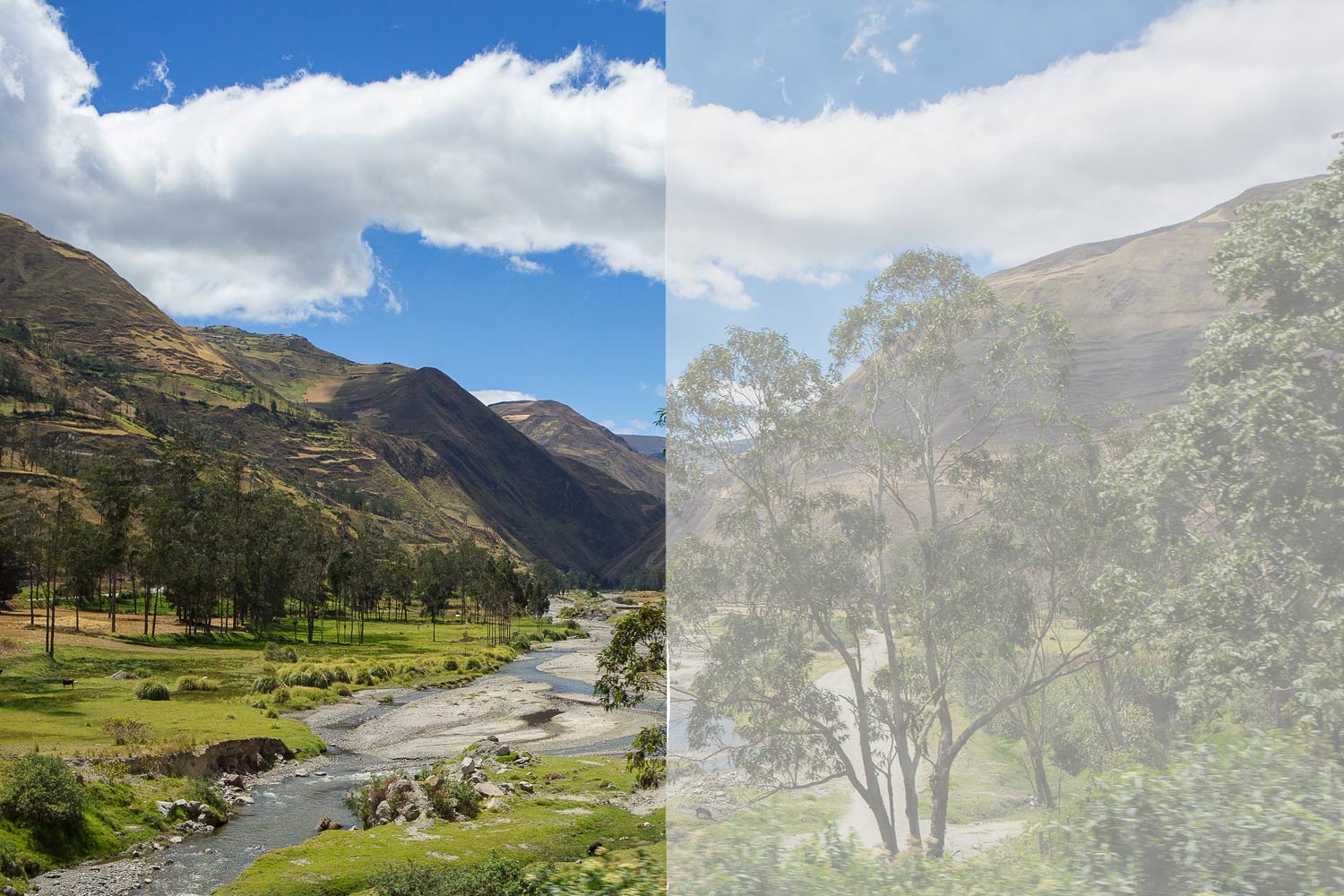 Before and after cataract vision