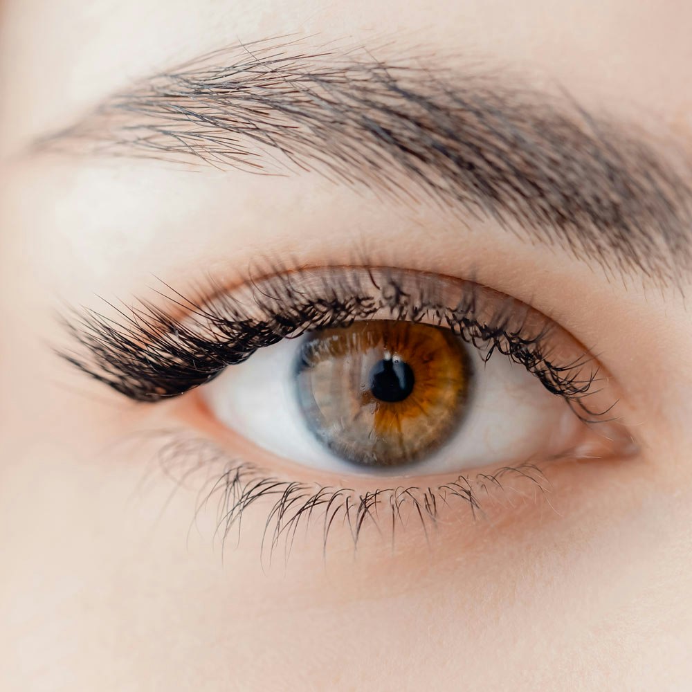 Woman's eyelashes