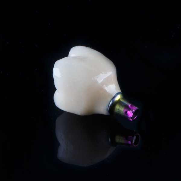 Dental implant crown