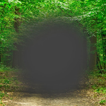 Macular degeneration dark spot when looking at forest