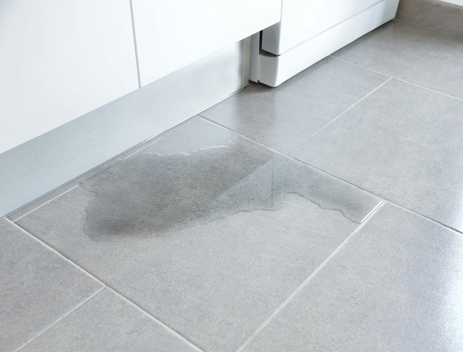 Premises liability caused by wet floor
