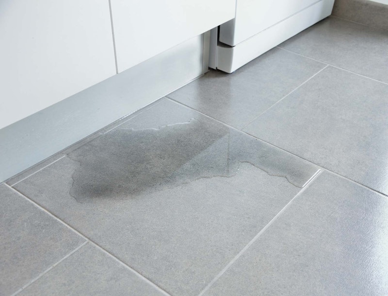 Premises liability caused by wet floor
