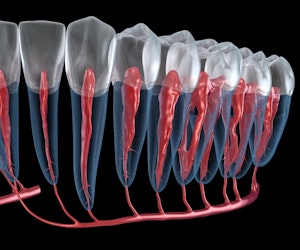 tooth anatomy