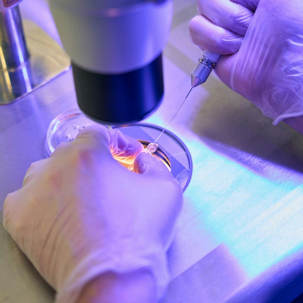 IVF lab technician working under a microscope