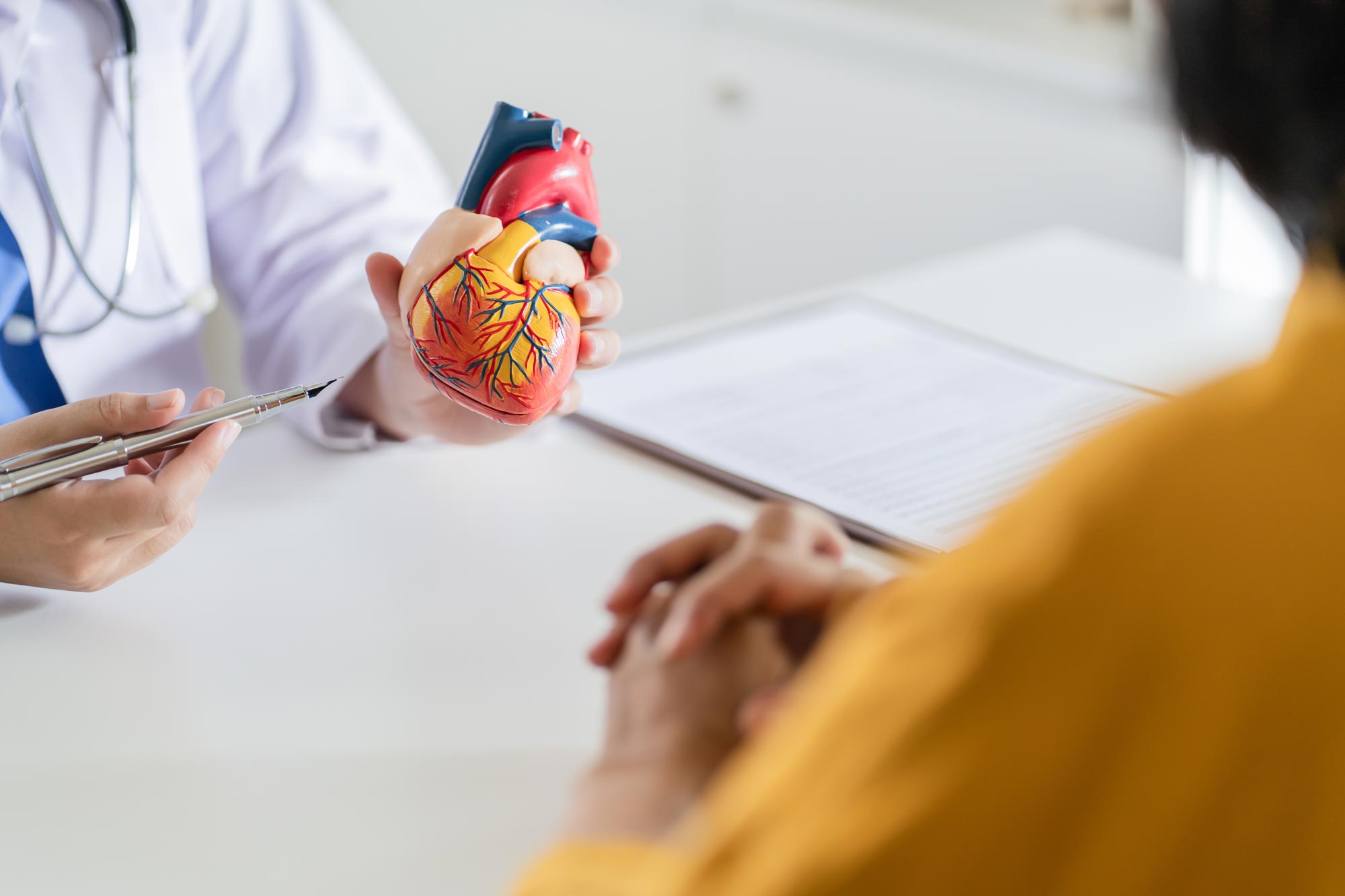 Cardiologist showing heart model to patient