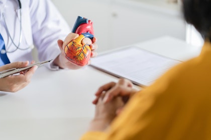 Cardiologist showing heart model to patient