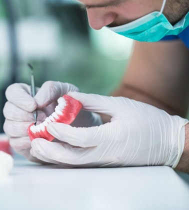 dentist cleaning a set of fake teeth