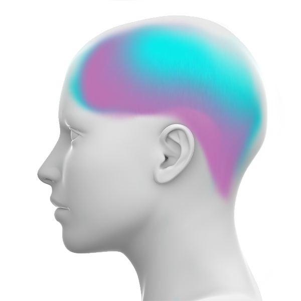 Central sleep apnea model