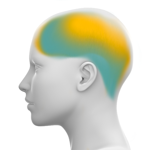 Central sleep apnea areas of concern
