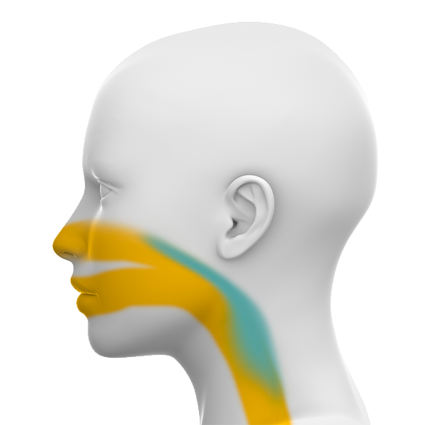 Obstructive sleep apnea areas of concern