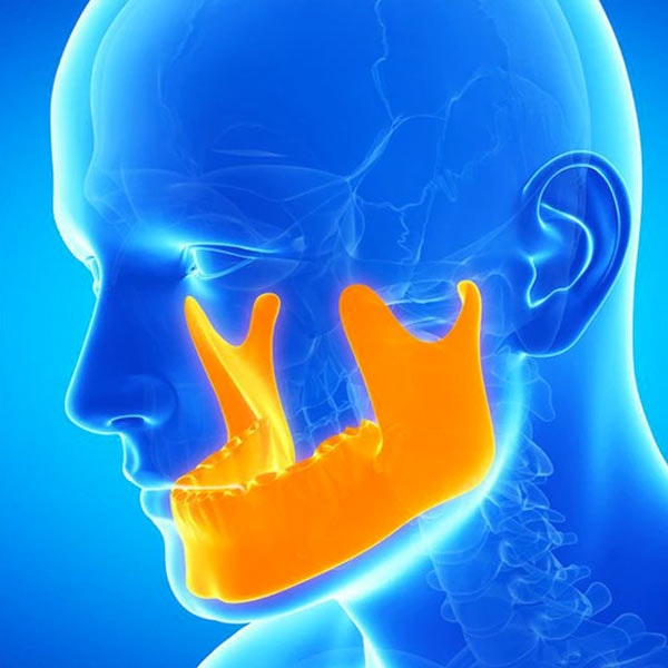 Illustration of orange jaw and light blue skeleton