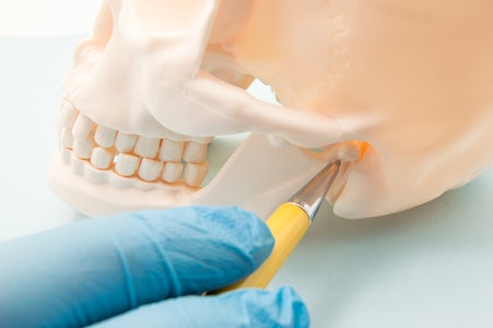 Jaw model with pen pointing at TMJ location