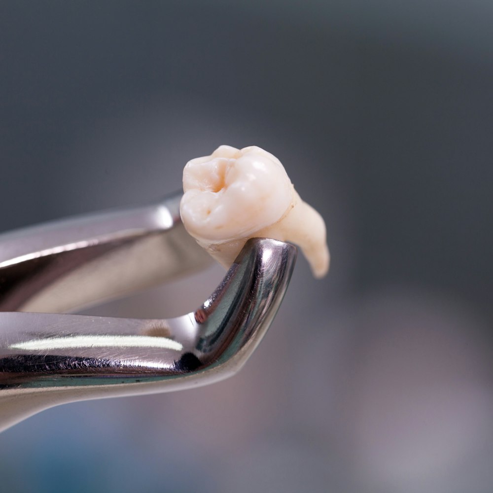 extracted tooth