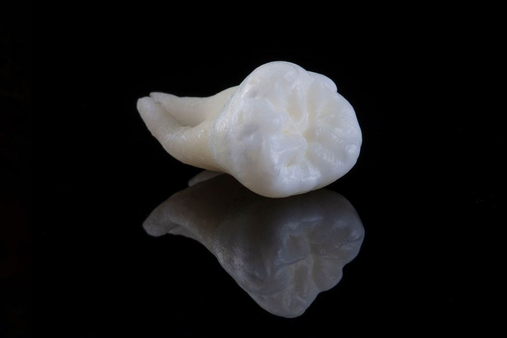 tooth against black background