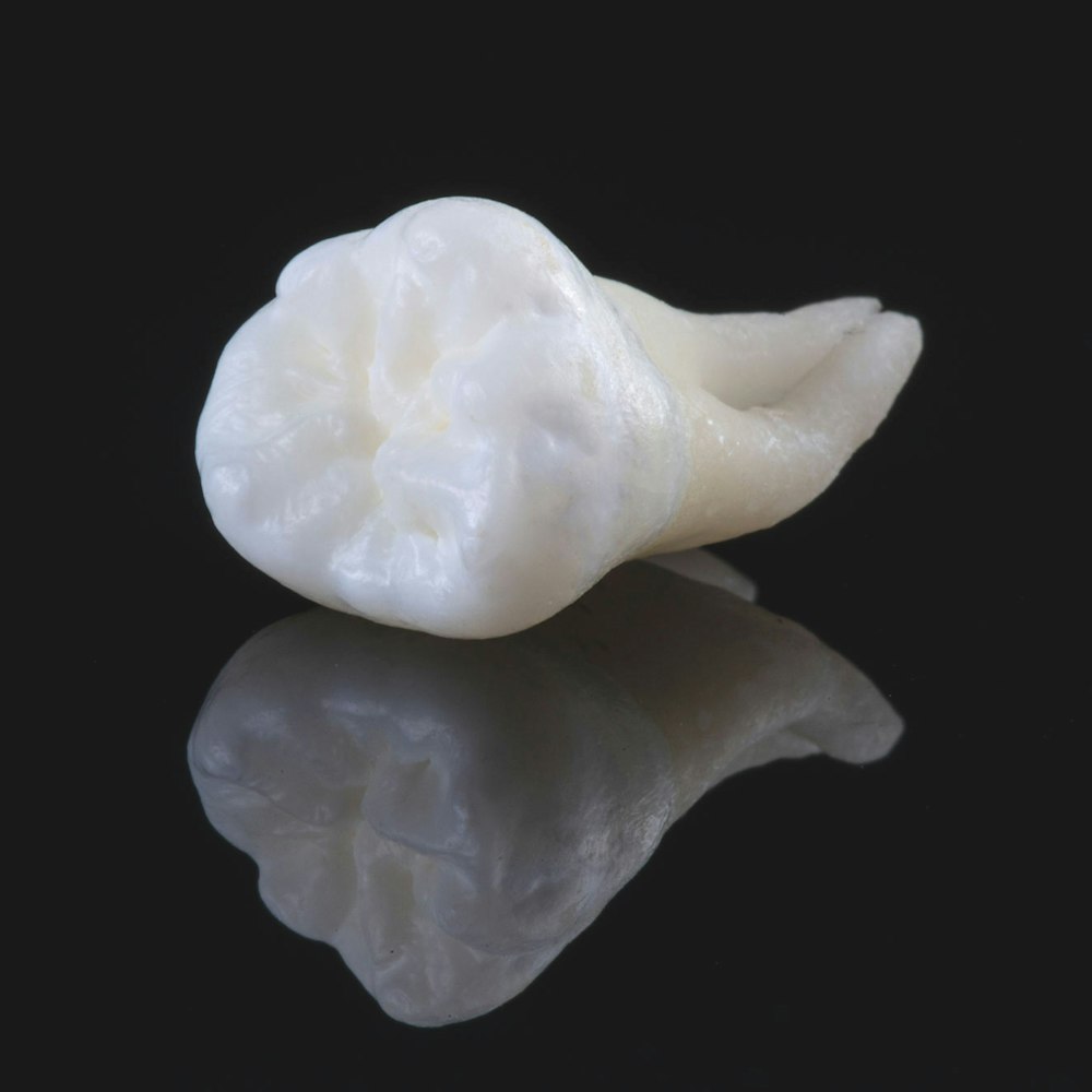 wisdom tooth against black background